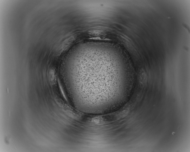 X0000101480420200807211403