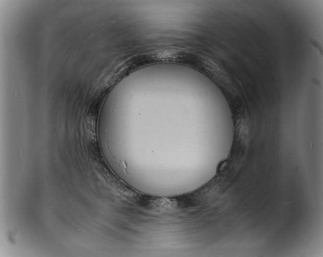 X0000101480421200807211403