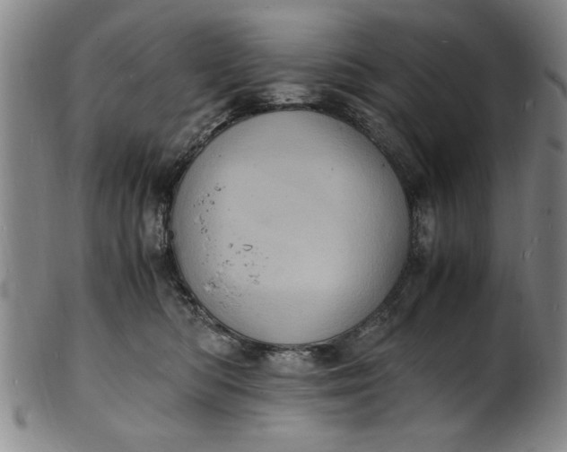 X0000101480422200807211403