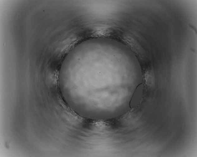 X0000101480423200807211403