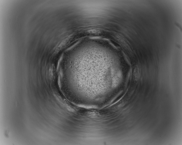 X0000101480424200807211403