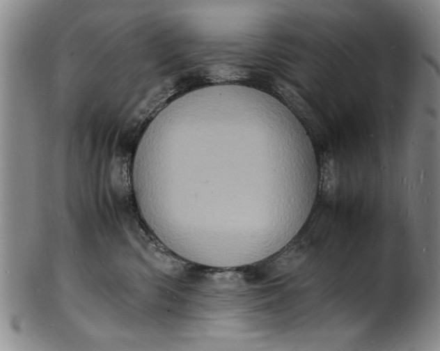 X0000101480426200807211403