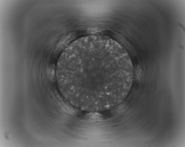 X0000101480427200807211403