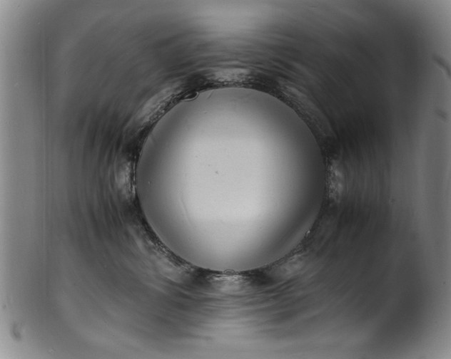 X0000101480428200807211403