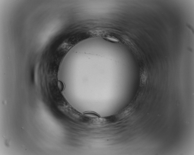 X0000101480429200807211403