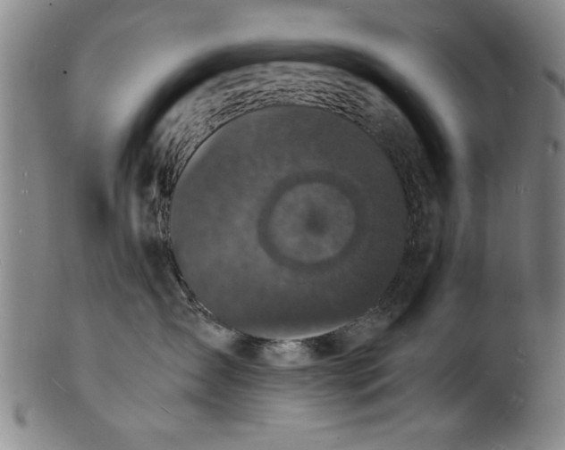 X0000101480431200807211403