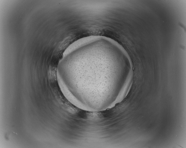 X0000101480432200807211403