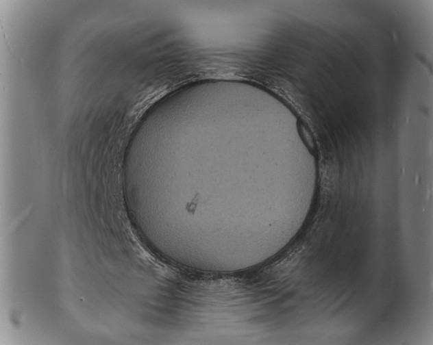 X0000101480433200807211403