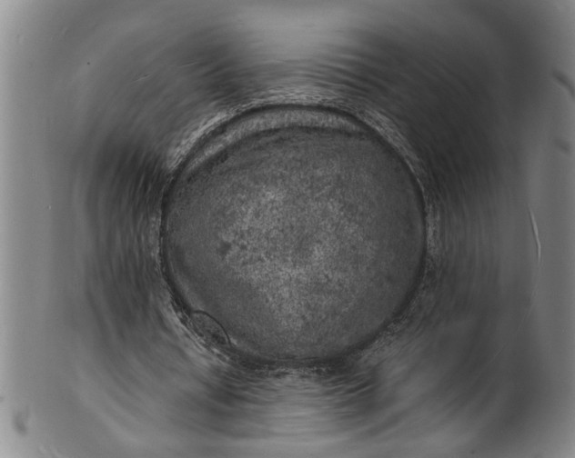 X0000101480434200807211403