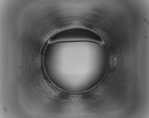 X0000101480436200807211403