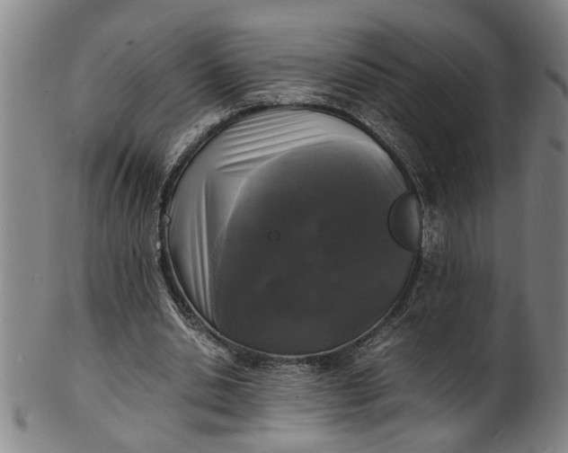 X0000101480438200807211403