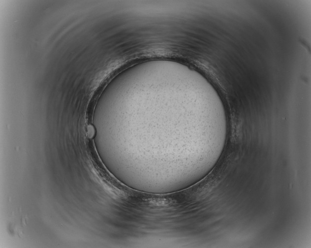 X0000101480439200807211403