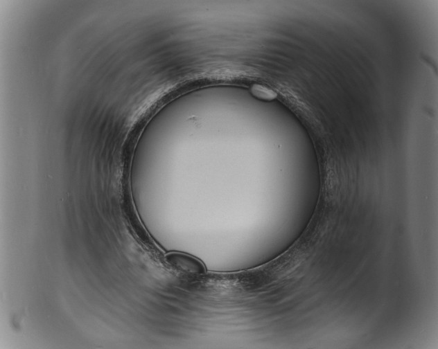 X0000101480440200807211403