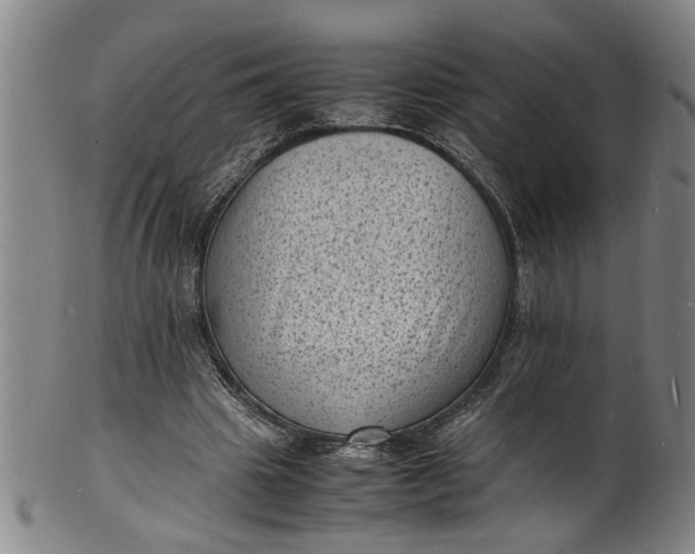 X0000101480441200807211403