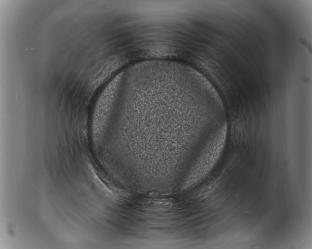 X0000101480443200807211403