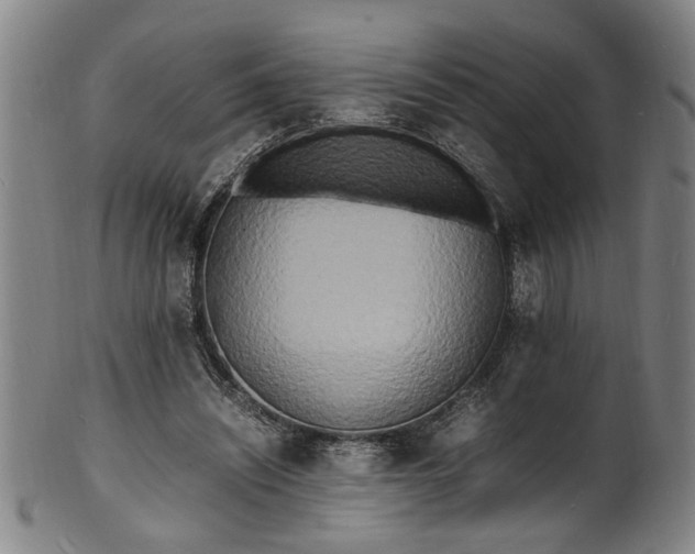 X0000101480444200807211403