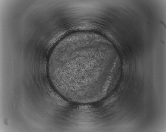 X0000101480446200807211403