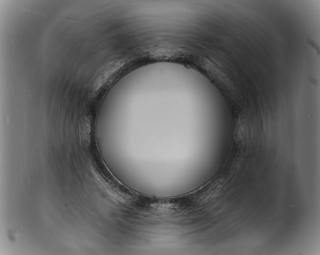 X0000101480448200807211403