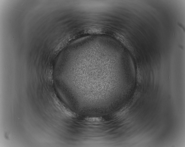 X0000101480449200807211403