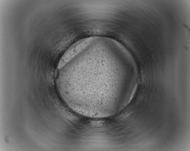 X0000101480450200807211403