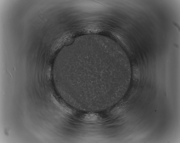 X0000101480451200807211403