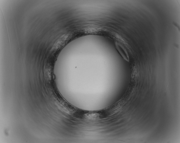 X0000101480452200807211403