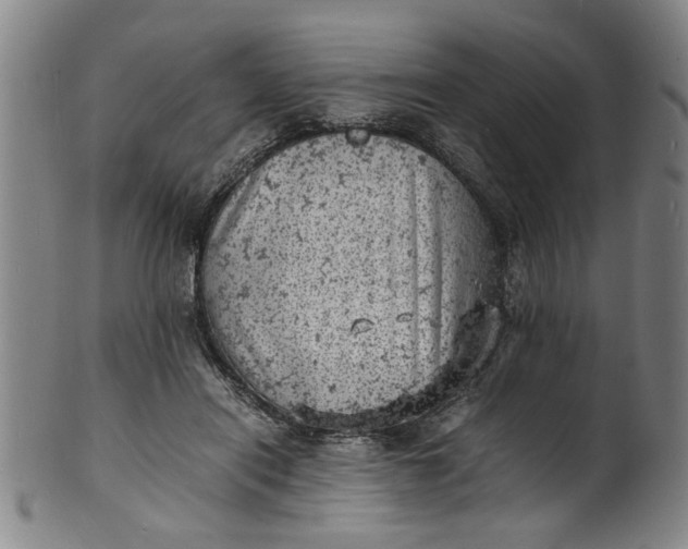 X0000101480454200807211403