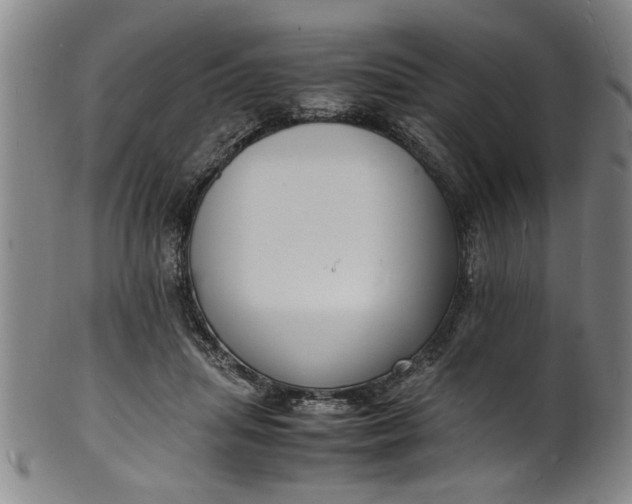 X0000101480455200807211403