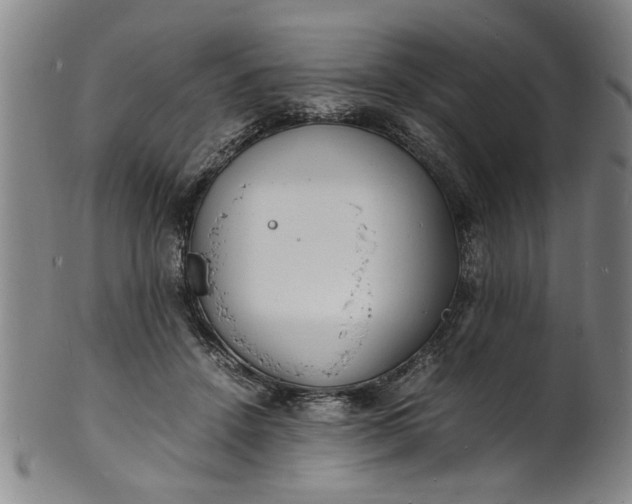 X0000101480456200807211403