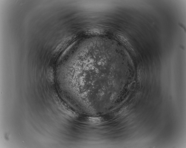 X0000101480457200807211403