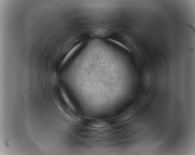 X0000101480459200807211403