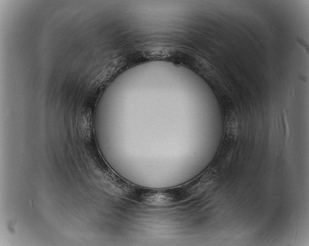 X0000101480460200807211403