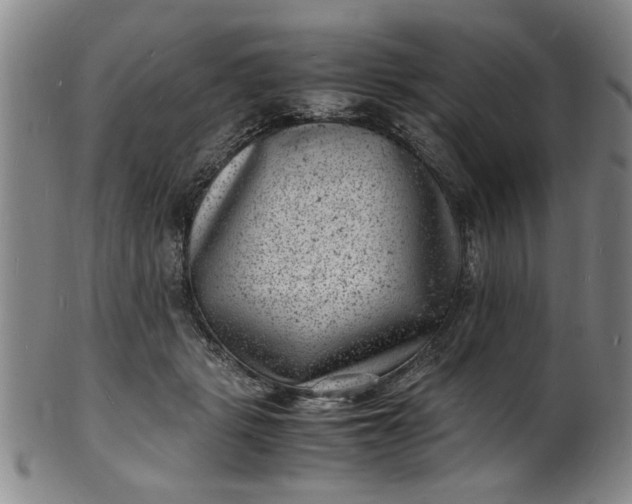 X0000101480461200807211403