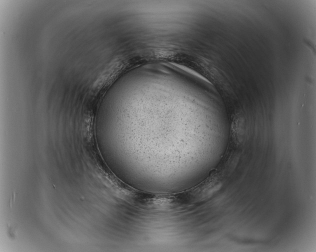 X0000101480462200807211403