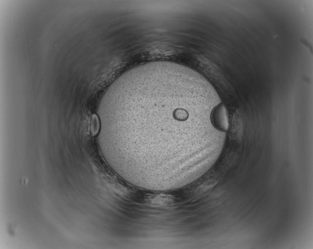 X0000101480463200807211403