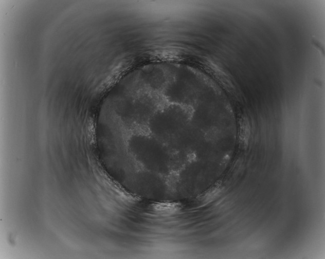 X0000101480465200807211403