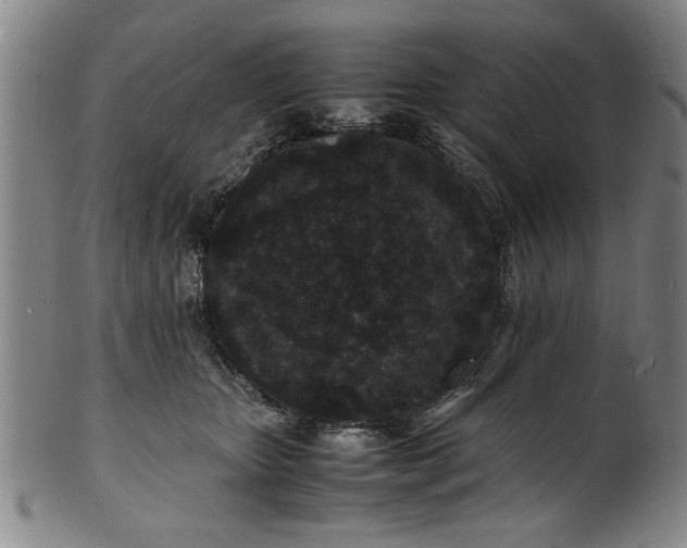 X0000101480467200807211403