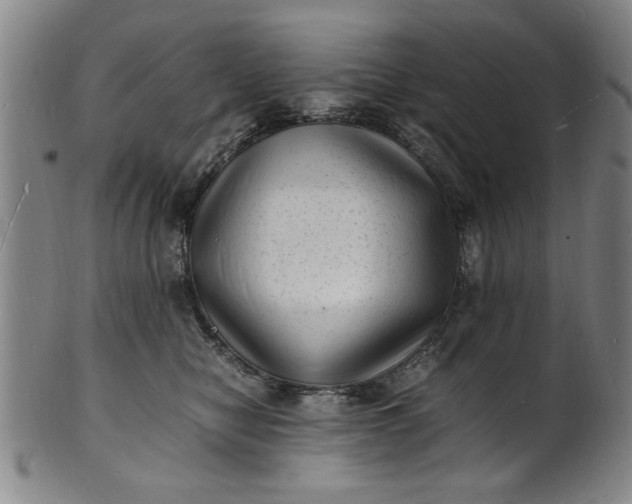 X0000101480470200807211403