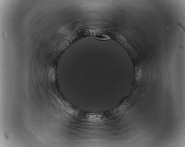 X0000101480471200807211403