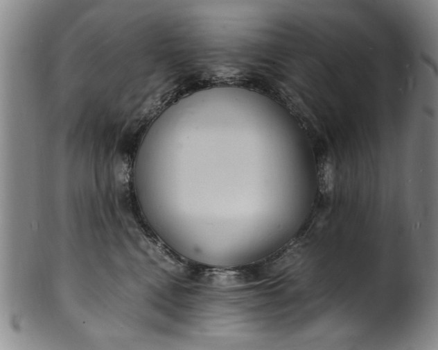 X0000101480472200807211403