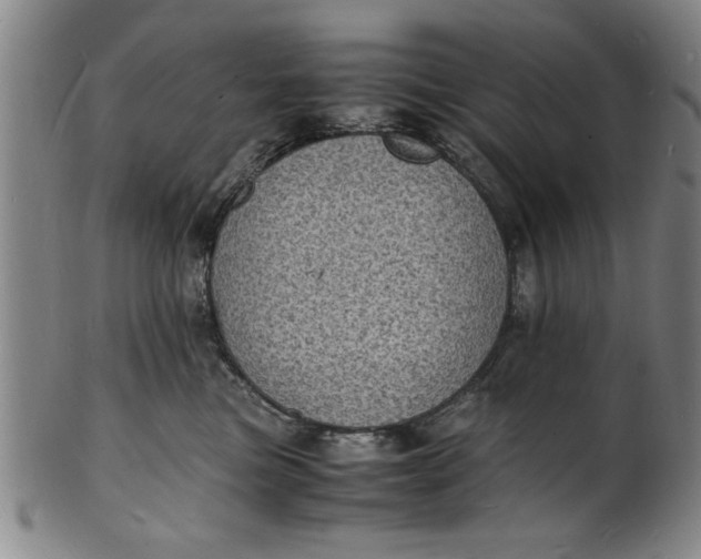 X0000101480473200807211403