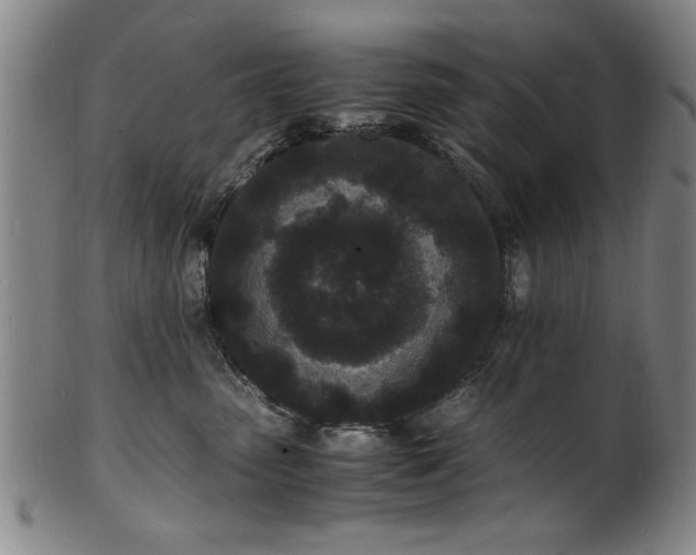 X0000101480475200807211403