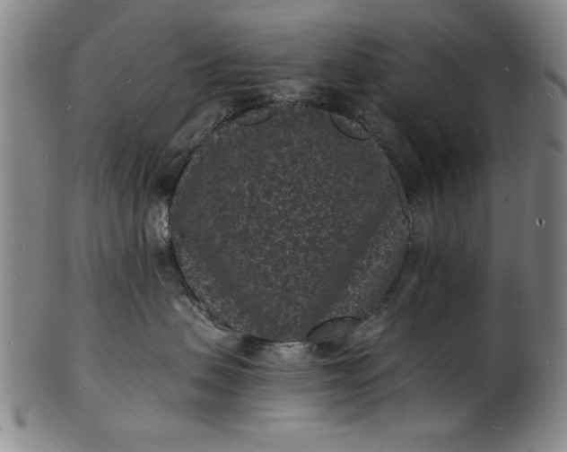 X0000101480479200807211403