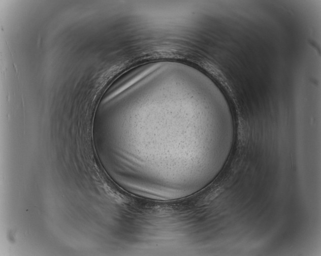 X0000101480481200807211403