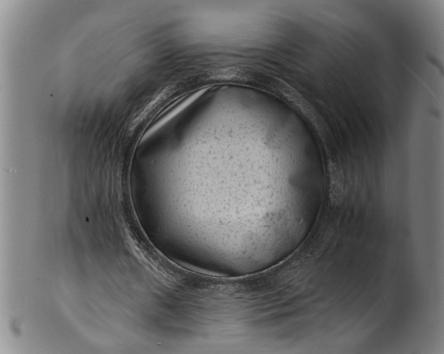 X0000101480482200807211402