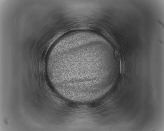 X0000101480483200807211402