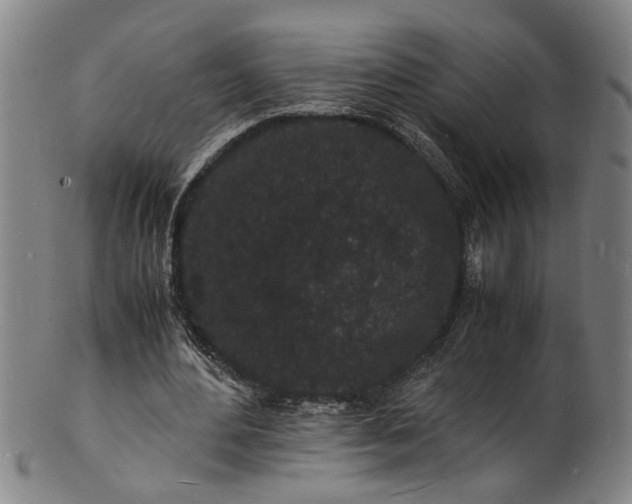 X0000101480484200807211402