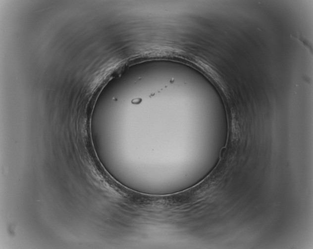 X0000101480485200807211402