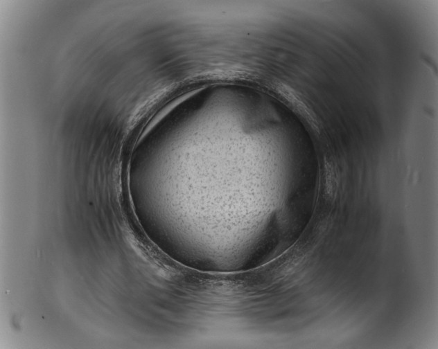 X0000101480486200807211402