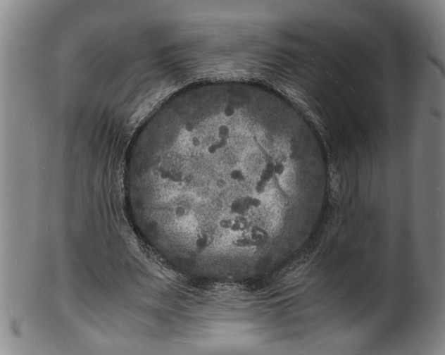 X0000101480487200807211402